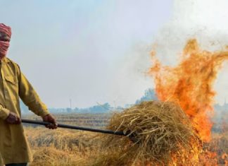 ਵੱਡੀ ਖਬਰ : ਪਰਾਲੀ ਸਾੜਨ ਦੇ ਮਾਮਲਿਆਂ ‘ਚ ਪੰਜਾਬ ਦੇ 18 ਕਿਸਾਨਾਂ ’ਤੇ FIR; ਇੰਨਿਆਂ ਨੂੰ 52 ਲੱਖ ਹੋਇਆ ਜੁਰਮਾਨਾ