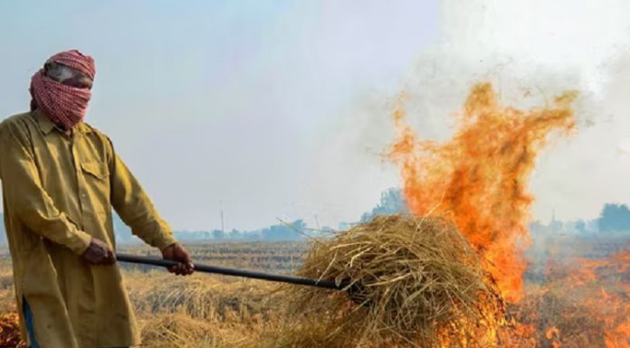 ਵੱਡੀ ਖਬਰ : ਪਰਾਲੀ ਸਾੜਨ ਦੇ ਮਾਮਲਿਆਂ ‘ਚ ਪੰਜਾਬ ਦੇ 18 ਕਿਸਾਨਾਂ ’ਤੇ FIR; ਇੰਨਿਆਂ ਨੂੰ 52 ਲੱਖ ਹੋਇਆ ਜੁਰਮਾਨਾ