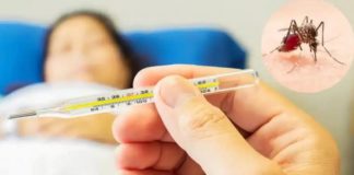 ਪੰਜਾਬ ‘ਚ ਡੇਂਗੂ ਦਾ ਕਹਿਰ, ਮਰੀਜ਼ਾਂ ਦੀ ਗਿਣਤੀ 10 ਹਜ਼ਾਰ ਨੂੰ ਟੱਪੀ