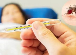 ਪੰਜਾਬ ‘ਚ ਡੇਂਗੂ ਦਾ ਕਹਿਰ, ਮਰੀਜ਼ਾਂ ਦੀ ਗਿਣਤੀ 10 ਹਜ਼ਾਰ ਨੂੰ ਟੱਪੀ