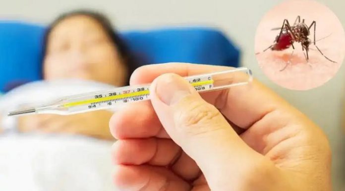 ਪੰਜਾਬ ‘ਚ ਡੇਂਗੂ ਦਾ ਕਹਿਰ, ਮਰੀਜ਼ਾਂ ਦੀ ਗਿਣਤੀ 10 ਹਜ਼ਾਰ ਨੂੰ ਟੱਪੀ