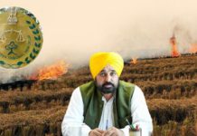NGT ਨੇ ਪਰਾਲੀ ਸਾੜਨ ‘ਤੇ ਪੰਜਾਬ ਸਰਕਾਰ ਨੂੰ ਪਾਈ ਝਾੜ, ਕਿਹਾ – ਸੂਬਾ ਤੰਤਰ ਪੂਰੀ ਤਰ੍ਹਾਂ ਹੋਇਆ ਫੇਲ