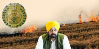 NGT ਨੇ ਪਰਾਲੀ ਸਾੜਨ ‘ਤੇ ਪੰਜਾਬ ਸਰਕਾਰ ਨੂੰ ਪਾਈ ਝਾੜ, ਕਿਹਾ – ਸੂਬਾ ਤੰਤਰ ਪੂਰੀ ਤਰ੍ਹਾਂ ਹੋਇਆ ਫੇਲ