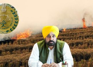 NGT ਨੇ ਪਰਾਲੀ ਸਾੜਨ ‘ਤੇ ਪੰਜਾਬ ਸਰਕਾਰ ਨੂੰ ਪਾਈ ਝਾੜ, ਕਿਹਾ – ਸੂਬਾ ਤੰਤਰ ਪੂਰੀ ਤਰ੍ਹਾਂ ਹੋਇਆ ਫੇਲ