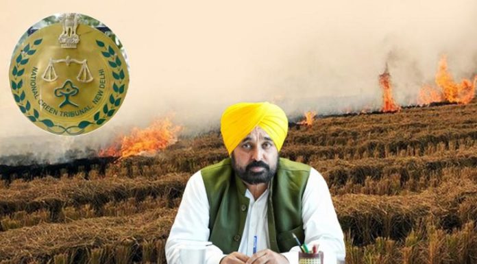 NGT ਨੇ ਪਰਾਲੀ ਸਾੜਨ ‘ਤੇ ਪੰਜਾਬ ਸਰਕਾਰ ਨੂੰ ਪਾਈ ਝਾੜ, ਕਿਹਾ – ਸੂਬਾ ਤੰਤਰ ਪੂਰੀ ਤਰ੍ਹਾਂ ਹੋਇਆ ਫੇਲ