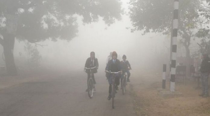 ਪਹਾੜਾਂ ‘ਤੇ ਬਰਫਬਾਰੀ ਕਾਰਨ ਪੰਜਾਬ ‘ਚ ਤਾਪਮਾਨ ‘ਚ ਹੋਰ ਗਿਰਾਵਟ, 20 ਤੇ 21 ਦਸੰਬਰ ਨੂੰ 15 ਜ਼ਿਲ੍ਹਿਆਂ ‘ਚ ਪਵੇਗੀ ਸੰਘਣੀ ਧੁੰਦ