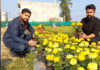 ਗੁਰਦਾਸਪੁਰ ‘ਚ ਇੰਜੀਨੀਅਰ ਭਰਾਵਾਂ ਨੇ ਪੇਸ਼ ਕੀਤੀ ਮਿਸਾਲ, ਨੌਕਰੀ ਦੀ ਬਜਾਏ ਕਰ ਰਹੇ ਫੁੱਲਾਂ ਦੀ ਖੇਤੀ, ਕਮਾ ਰਹੇ ਲੱਖਾਂ