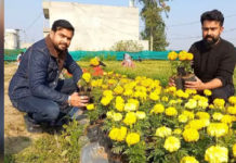 ਗੁਰਦਾਸਪੁਰ ‘ਚ ਇੰਜੀਨੀਅਰ ਭਰਾਵਾਂ ਨੇ ਪੇਸ਼ ਕੀਤੀ ਮਿਸਾਲ, ਨੌਕਰੀ ਦੀ ਬਜਾਏ ਕਰ ਰਹੇ ਫੁੱਲਾਂ ਦੀ ਖੇਤੀ, ਕਮਾ ਰਹੇ ਲੱਖਾਂ