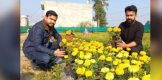 ਗੁਰਦਾਸਪੁਰ ‘ਚ ਇੰਜੀਨੀਅਰ ਭਰਾਵਾਂ ਨੇ ਪੇਸ਼ ਕੀਤੀ ਮਿਸਾਲ, ਨੌਕਰੀ ਦੀ ਬਜਾਏ ਕਰ ਰਹੇ ਫੁੱਲਾਂ ਦੀ ਖੇਤੀ, ਕਮਾ ਰਹੇ ਲੱਖਾਂ