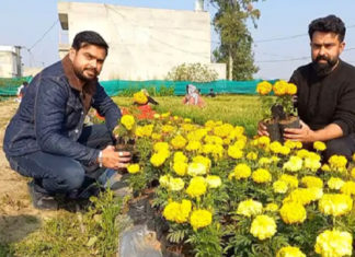 ਗੁਰਦਾਸਪੁਰ ‘ਚ ਇੰਜੀਨੀਅਰ ਭਰਾਵਾਂ ਨੇ ਪੇਸ਼ ਕੀਤੀ ਮਿਸਾਲ, ਨੌਕਰੀ ਦੀ ਬਜਾਏ ਕਰ ਰਹੇ ਫੁੱਲਾਂ ਦੀ ਖੇਤੀ, ਕਮਾ ਰਹੇ ਲੱਖਾਂ