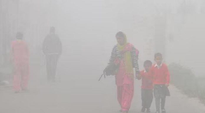 ਹਿਮਾਚਲ ‘ਚ ਬਰਫਬਾਰੀ ਨਾਲ ਪੰਜਾਬ ‘ਚ ਡਿੱਗਿਆ ਪਾਰਾ, ਧੁੰਦ ਨੂੰ ਲੈ ਕੇ ਮੌਸਮ ਵਿਭਾਗ ਨੇ ਜਾਰੀ ਕੀਤਾ ਯੈਲੋ ਅਲਰਟ