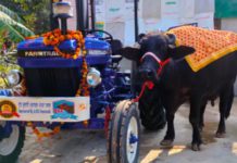 ਹਰਿਆਣਾ ਦੀ ਮੱਝ ਦਾ ਪੰਜਾਬ ‘ਚ ਡੰਕਾ : 22 ਲੀਟਰ ਦੁੱਧ ਦੇ ਕੇ ਜਿੱਤਿਆ ਟਰੈਕਟਰ, ਧਨੌਲਾ ‘ਚ ਹੋਏ ਪਸ਼ੂ ਮੇਲੇ ‘ਚ ਲਿਆ ਸੀ ਹਿੱਸਾ