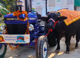 ਹਰਿਆਣਾ ਦੀ ਮੱਝ ਦਾ ਪੰਜਾਬ ‘ਚ ਡੰਕਾ : 22 ਲੀਟਰ ਦੁੱਧ ਦੇ ਕੇ ਜਿੱਤਿਆ ਟਰੈਕਟਰ, ਧਨੌਲਾ ‘ਚ ਹੋਏ ਪਸ਼ੂ ਮੇਲੇ ‘ਚ ਲਿਆ ਸੀ ਹਿੱਸਾ