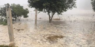 ਅਬੋਹਰ : ਮਲੂਕਪੁਰਾ ਮਾਈਨਰ ‘ਚ ਪਿਆ ਵੱਡਾ ਪਾੜ, ਕਿਸਾਨਾਂ ਦੀ ਸੈਂਕੜੇ ਏਕੜ ਫ਼ਸਲ ਤਬਾਹ