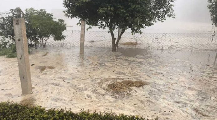 ਅਬੋਹਰ : ਮਲੂਕਪੁਰਾ ਮਾਈਨਰ ‘ਚ ਪਿਆ ਵੱਡਾ ਪਾੜ, ਕਿਸਾਨਾਂ ਦੀ ਸੈਂਕੜੇ ਏਕੜ ਫ਼ਸਲ ਤਬਾਹ