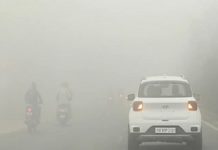 ਪਹਾੜਾਂ ‘ਚ ਬਰਫਬਾਰੀ ਕਾਰਨ ਪੰਜਾਬ ‘ਚ ਵਧੀ ਠੰਡ, ਜਲੰਧਰ ਸਮੇਤ ਇਨ੍ਹਾਂ 11 ਜ਼ਿਲ੍ਹਿਆਂ ‘ਚ ਧੁੰਦ ਮਚਾਏਗੀ ਕਹਿਰ