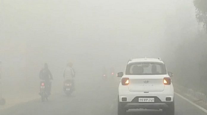 ਪਹਾੜਾਂ ‘ਚ ਬਰਫਬਾਰੀ ਕਾਰਨ ਪੰਜਾਬ ‘ਚ ਵਧੀ ਠੰਡ, ਜਲੰਧਰ ਸਮੇਤ ਇਨ੍ਹਾਂ 11 ਜ਼ਿਲ੍ਹਿਆਂ ‘ਚ ਧੁੰਦ ਮਚਾਏਗੀ ਕਹਿਰ