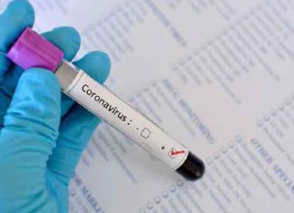 ਜਲੰਧਰ ‘ਚ ਕੋਰੋਨਾ ਨਾਲ ਔਰਤ ਦੀ ਮੌ.ਤ ਮਗਰੋਂ 1 ਹੋਰ ਪਾਜ਼ੇਟਿਵ ਮਰੀਜ਼ ਆਇਆ ਸਾਹਮਣੇ