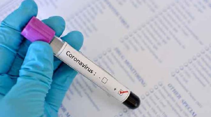 ਜਲੰਧਰ ‘ਚ ਕੋਰੋਨਾ ਨਾਲ ਔਰਤ ਦੀ ਮੌ.ਤ ਮਗਰੋਂ 1 ਹੋਰ ਪਾਜ਼ੇਟਿਵ ਮਰੀਜ਼ ਆਇਆ ਸਾਹਮਣੇ