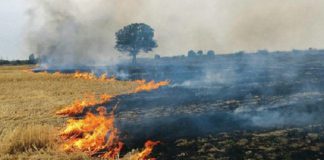 ਹੁਸ਼ਿਆਰਪੁਰ : ਨਸ਼ੇੜੀਆਂ ਨੇ ਪਾਣੀ ਨਾ ਪਿਆਉਣ ‘ਤੇ ਕਿਸਾਨ ਦੇ ਖੇਤਾਂ ਨੂੰ ਲਗਾਈ ਅੱਗ, 2 ਲੱਖ ਦਾ ਹੋਇਆ ਨੁਕਸਾਨ, 7 ਨਾਮਜ਼ਦ