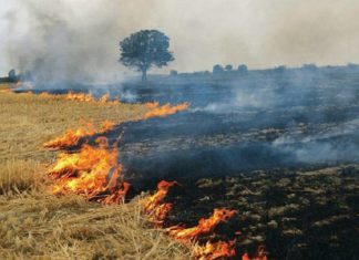 ਹੁਸ਼ਿਆਰਪੁਰ : ਨਸ਼ੇੜੀਆਂ ਨੇ ਪਾਣੀ ਨਾ ਪਿਆਉਣ ‘ਤੇ ਕਿਸਾਨ ਦੇ ਖੇਤਾਂ ਨੂੰ ਲਗਾਈ ਅੱਗ, 2 ਲੱਖ ਦਾ ਹੋਇਆ ਨੁਕਸਾਨ, 7 ਨਾਮਜ਼ਦ