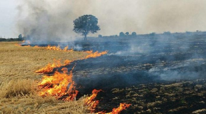 ਹੁਸ਼ਿਆਰਪੁਰ : ਨਸ਼ੇੜੀਆਂ ਨੇ ਪਾਣੀ ਨਾ ਪਿਆਉਣ ‘ਤੇ ਕਿਸਾਨ ਦੇ ਖੇਤਾਂ ਨੂੰ ਲਗਾਈ ਅੱਗ, 2 ਲੱਖ ਦਾ ਹੋਇਆ ਨੁਕਸਾਨ, 7 ਨਾਮਜ਼ਦ