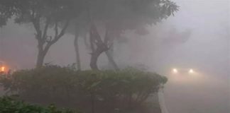 ਪੰਜਾਬ ਵਿਚ ਸੰਘਣੀ ਧੁੰਦ ਦਾ ਕਹਿਰ, ਮੌਸਮ ਵਿਭਾਗ ਵੱਲੋਂ ਇਸ ਦਿਨ ਤੋਂ ਮੀਂਹ ਪੈਣ ਦਾ ਅਲਰਟ ਜਾਰੀ