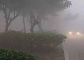 ਪੰਜਾਬ ਵਿਚ ਸੰਘਣੀ ਧੁੰਦ ਦਾ ਕਹਿਰ, ਮੌਸਮ ਵਿਭਾਗ ਵੱਲੋਂ ਇਸ ਦਿਨ ਤੋਂ ਮੀਂਹ ਪੈਣ ਦਾ ਅਲਰਟ ਜਾਰੀ