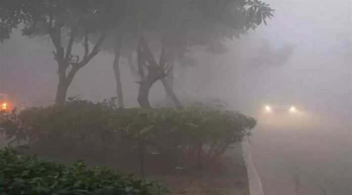 ਪੰਜਾਬ ਵਿਚ ਸੰਘਣੀ ਧੁੰਦ ਦਾ ਕਹਿਰ, ਮੌਸਮ ਵਿਭਾਗ ਵੱਲੋਂ ਇਸ ਦਿਨ ਤੋਂ ਮੀਂਹ ਪੈਣ ਦਾ ਅਲਰਟ ਜਾਰੀ