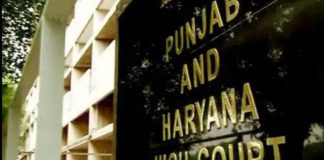 ਪੰਚਾਇਤੀ ਚੋਣਾਂ ਨੂੰ ਲੈ ਕੇ ਵੱਡੀ ਖ਼ਬਰ : ਹਾਈਕੋਰਟ ਨੇ ਪੰਜਾਬ ਚੋਣ ਕਮਿਸ਼ਨ ਤੋਂ ਮੰਗਿਆ ਸ਼ਡਿਊਲ, ਦਿੱਤਾ ਕੱਲ ਤਕ ਦਾ ਸਮਾਂ