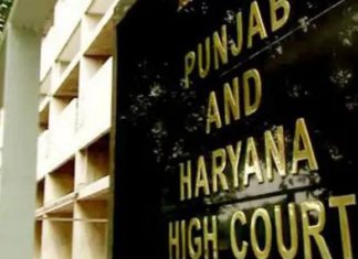 ਪੰਚਾਇਤੀ ਚੋਣਾਂ ਨੂੰ ਲੈ ਕੇ ਵੱਡੀ ਖ਼ਬਰ : ਹਾਈਕੋਰਟ ਨੇ ਪੰਜਾਬ ਚੋਣ ਕਮਿਸ਼ਨ ਤੋਂ ਮੰਗਿਆ ਸ਼ਡਿਊਲ, ਦਿੱਤਾ ਕੱਲ ਤਕ ਦਾ ਸਮਾਂ