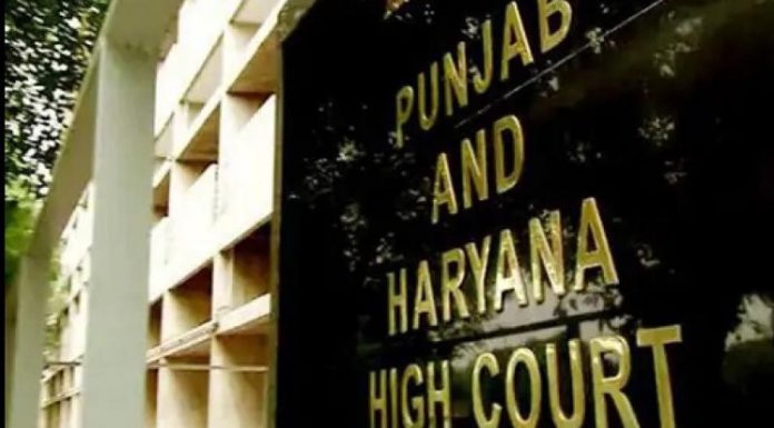 ਪੰਚਾਇਤੀ ਚੋਣਾਂ ਨੂੰ ਲੈ ਕੇ ਵੱਡੀ ਖ਼ਬਰ : ਹਾਈਕੋਰਟ ਨੇ ਪੰਜਾਬ ਚੋਣ ਕਮਿਸ਼ਨ ਤੋਂ ਮੰਗਿਆ ਸ਼ਡਿਊਲ, ਦਿੱਤਾ ਕੱਲ ਤਕ ਦਾ ਸਮਾਂ