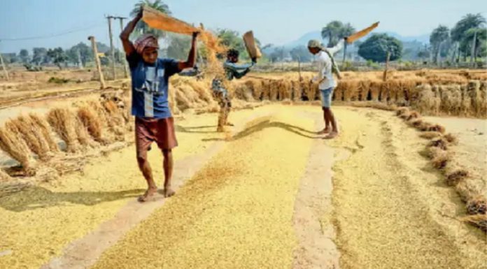ਪੰਜਾਬ ‘ਚ ਝੋਨਾ ਖਰੀਦਣ ਦਾ ਵਧਿਆ ਸਮਾਂ, ਦਸੰਬਰ ਦੀ ਇਸ ਤਰੀਕ ਤੱਕ ਮੰਡੀਆਂ ‘ਚ ਕਿਸਾਨ ਵੇਚ ਸਕਣਗੇ ਫਸਲ