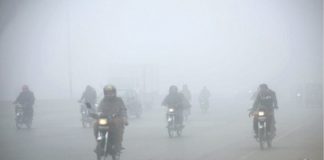 ਧੁੰਦ ਦੀ ਚਾਦਰ ‘ਚ ਲਿਪਟਿਆ ਪੰਜਾਬ, ਅੰਮ੍ਰਿਤਸਰ ‘ਚ 4 ਡਿਗਰੀ ਤਕ ਡਿੱਗਿਆ ਪਾਰਾ; ਜਾਣੋ ਪੂਰੇ ਹਫਤੇ ਦੇ ਮੌਸਮ ਦਾ ਹਾਲ