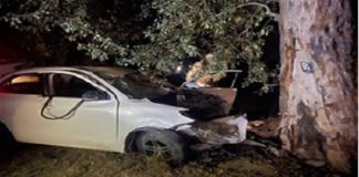 ਫਰੀਦਕੋਟ ਨੇੜੇ ਵਾਪਰਿਆ ਦਰਦ.ਨਾਕ ਹਾਦ/ਸਾ, ਦਰੱਖਤ ਨਾਲ ਟਕਰਾਈ ਕਾਰ, 5 ਜਣਿਆਂ ਦੀ ਮੌਕੇ ‘ਤੇ ਮੌ.ਤ