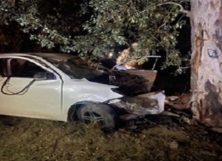 ਫਰੀਦਕੋਟ ਨੇੜੇ ਵਾਪਰਿਆ ਦਰਦ.ਨਾਕ ਹਾਦ/ਸਾ, ਦਰੱਖਤ ਨਾਲ ਟਕਰਾਈ ਕਾਰ, 5 ਜਣਿਆਂ ਦੀ ਮੌਕੇ ‘ਤੇ ਮੌ.ਤ