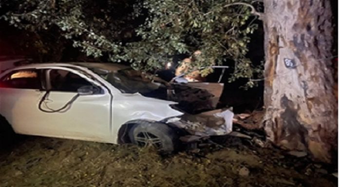 ਫਰੀਦਕੋਟ ਨੇੜੇ ਵਾਪਰਿਆ ਦਰਦ.ਨਾਕ ਹਾਦ/ਸਾ, ਦਰੱਖਤ ਨਾਲ ਟਕਰਾਈ ਕਾਰ, 5 ਜਣਿਆਂ ਦੀ ਮੌਕੇ ‘ਤੇ ਮੌ.ਤ