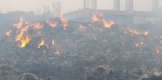 ਕਪੂਰਥਲਾ : ਅੱਗ ਨਾਲ 700 ਏਕੜ ਪਰਾਲੀ ਦਾ ਸਟਾਕ, 2 ਟਰਾਲੀਆਂ ਤੇ ਪਾਣੀ ਵਾਲੀ ਟੈਂਕੀ ਸੜ ਕੇ ਸੁਆਹ