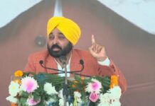 ਮਾਨ ਸਰਕਾਰ ਨੇ ਪੰਜਾਬ ਦੇ ਲੋਕਾਂ ਨੂੰ ‘ਸੜਕ ਸੁਰੱਖਿਆ ਫੋਰਸ’ ਦੀ ਦਿੱਤੀ ਸੌਗਾਤ