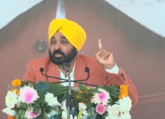 ਮਾਨ ਸਰਕਾਰ ਨੇ ਪੰਜਾਬ ਦੇ ਲੋਕਾਂ ਨੂੰ ‘ਸੜਕ ਸੁਰੱਖਿਆ ਫੋਰਸ’ ਦੀ ਦਿੱਤੀ ਸੌਗਾਤ