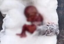 ਲੁਧਿਆਣਾ ‘ਚ ਹਸਪਤਾਲ ਦੇ ਬਾਥਰੂਮ ‘ਚੋਂ ਮਿਲਿਆ ਭਰੂਣ: ਸੁਰੱਖਿਆ ਗਾਰਡ ਨੇ ਦੇਖਿਆ; ਪੁਲਿਸ ਸੀਸੀਟੀਵੀ ਕੈਮਰਿਆਂ ਦੀ ਫੁਟੇਜ ਦੀ ਜਾਂਚ ‘ਚ ਰੁੱਝੀ