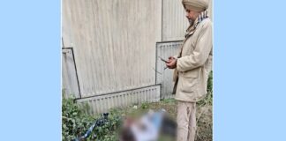 ਲੁਧਿਆਣਾ ‘ਚ ਮਿਲੀ ਅਧਨੰਗੀ ਔਰਤ ਦੀ ਲਾਸ਼, ਪਛਾਣ ਛੁਪਾਉਣ ਲਈ ਸਾੜਿਆ ਚਿਹਰਾ