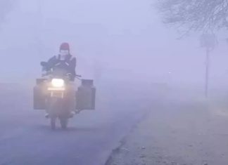 ਸੀਤ ਲਹਿਰ ਵਿਚਾਲੇ ਪੰਜਾਬ ‘ਚ ਸੰਘਣੀ ਧੁੰਦ ਤੇ ਕੋਲਡ-ਡੇ ਦਾ ਅਲਰਟ, ਲੋਕਾਂ ਨੂੰ ਸਾਵਧਾਨ ਰਹਿਣ ਦੀ ਸਲਾਹ