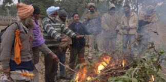 ਠੰਡੀਆਂ ਹਵਾਵਾਂ ਨੇ ਠਾਰਿਆ ਪੰਜਾਬ, ਧੁੰਦ-ਸੀਤ ਲਹਿਰ ਨੂੰ ਲੈ ਕੇ ਰੈੱਡ ਅਲਰਟ ਜਾਰੀ