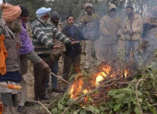 ਠੰਡੀਆਂ ਹਵਾਵਾਂ ਨੇ ਠਾਰਿਆ ਪੰਜਾਬ, ਧੁੰਦ-ਸੀਤ ਲਹਿਰ ਨੂੰ ਲੈ ਕੇ ਰੈੱਡ ਅਲਰਟ ਜਾਰੀ