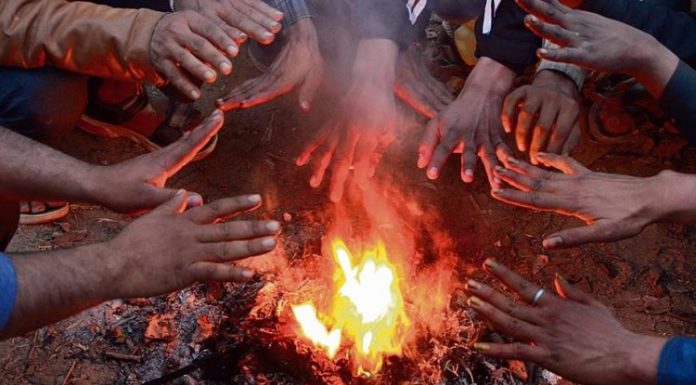 ਪੰਜਾਬ ‘ਚ ਸੀਤ ਲਹਿਰ ਤੇ ਸੰਘਣੀ ਧੁੰਦ ਦਾ ਕਹਿਰ, ਛੇੜੀ ਕੰਬਣੀ; ਅਗਲੇ 4 ਦਿਨ ਕੋਲਡ-ਡੇ ਦਾ ਅਲਰਟ