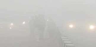 ਪੰਜਾਬ ‘ਚ ਸੀਤ ਲਹਿਰ ਦਾ ਕਹਿਰ : ਛਾਈ ਰਹੇਗੀ ਸੰਘਣੀ ਧੁੰਦ, ਮੀਂਹ ਦਾ ਅਲਰਟ