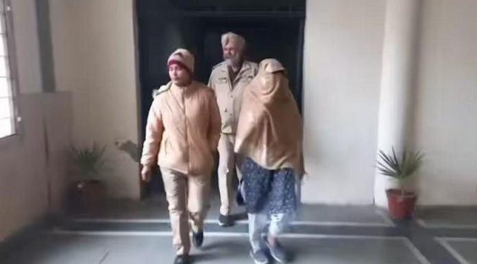 ਬਠਿੰਡਾ : ਨਕਲੀ ਸਰਟੀਫਿਕੇਟ ਬਣਵਾ ਕੇ ਸਰਕਾਰੀ ਬੈਂਕ ‘ਚ ਨੌਕਰੀ ਕਰਦੀ ਮਹਿਲਾ ਗ੍ਰਿਫ਼ਤਾਰ, ਇੰਝ ਹੋਇਆ ਖੁਲਾਸਾ