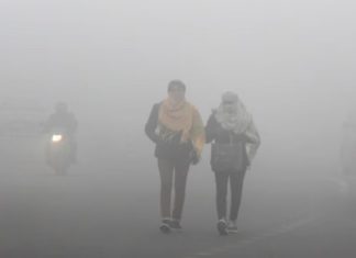 ਪੰਜਾਬ ‘ਚ ਸੀਤ ਲਹਿਰ ਦਾ ਕਹਿਰ, ਅਗਲੇ 5 ਦਿਨ ਪਵੇਗਾ ਹੋਰ ਸੰਘਣਾ ਕੋਹਰਾ; ਠੰਡ ਕੱਢੇਗੀ ਵੱਟ