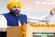 ਮਾਨ ਸਰਕਾਰ ਦਾ ਮਿਸ਼ਨ ਰੁਜ਼ਗਾਰ : CM ਨੇ 518 ਉਮੀਦਵਾਰਾਂ ਨੂੰ ਵੰਡੇ ਨਿਯੁਕਤੀ ਪੱਤਰ